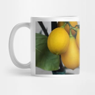 Lemons Mug